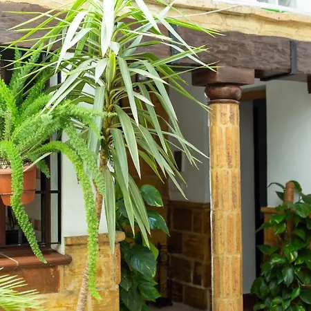 Casa Turistica Patio Cordobes - Parking Privado En La Juderia Apartment