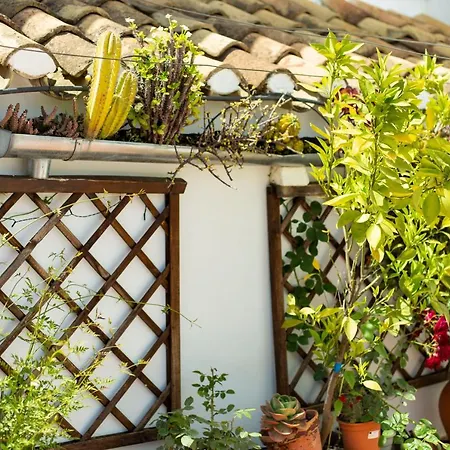 Casa Turistica Patio Cordobes - Parking Privado En La Juderia Cordoba