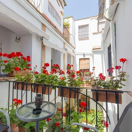Casa Turistica Patio Cordobes - Parking Privado En La Juderia * Cordoba