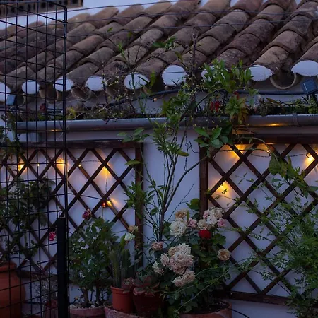 Casa Turistica Patio Cordobes - Parking Privado En La Juderia * Cordoba